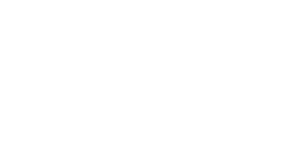 에이스 뱅크 logo